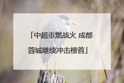 中超重燃战火 成都蓉城继续冲击榜首