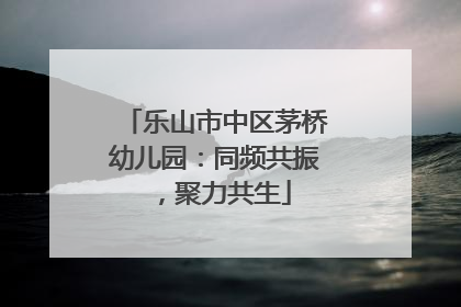 乐山市中区茅桥幼儿园：同频共振，聚力共生