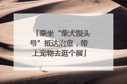 乘坐“柴犬馒头号”抵达治愈，带上宠物去逛个展