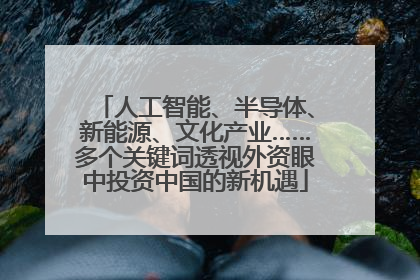 人工智能、半导体、新能源、文化产业……多个关键词透视外资眼中投资中国的新机遇