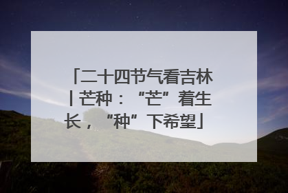 二十四节气看吉林丨芒种：“芒”着生长，“种”下希望