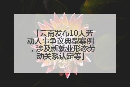 云南发布10大劳动人事争议典型案例，涉及新就业形态劳动关系认定等