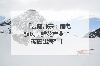 云南师宗：借电驭风，鲜花产业“破圈出海”