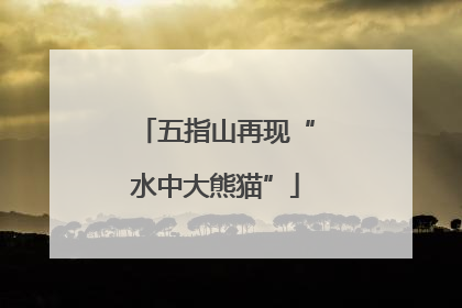 五指山再现“水中大熊猫”