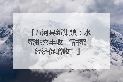 五河县新集镇：水蜜桃喜丰收 “甜蜜经济促增收”