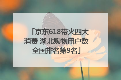 京东618带火四大消费 湖北购物用户数全国排名第9名