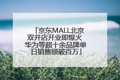 京东MALL北京双井店开业即爆火 华为等超十余品牌单日销售额破百万