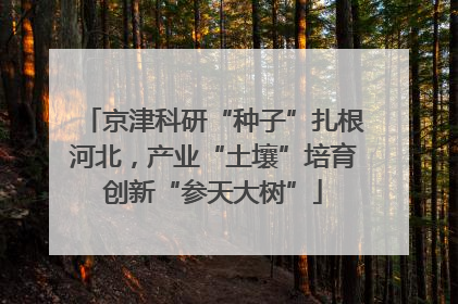 京津科研“种子”扎根河北，产业“土壤”培育创新“参天大树”
