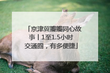 京津冀瓣瓣同心故事丨1至1.5小时交通圈，有多便捷