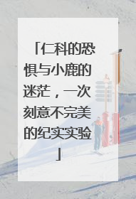 仁科的恐惧与小鹿的迷茫，一次刻意不完美的纪实实验