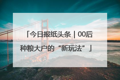 今日报纸头条｜00后种粮大户的“新玩法”