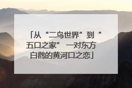 从“二鸟世界”到“五口之家” 一对东方白鹳的黄河口之恋