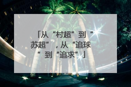 从“村超”到“苏超”，从“追球”到“追求”
