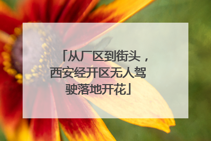 从厂区到街头，西安经开区无人驾驶落地开花