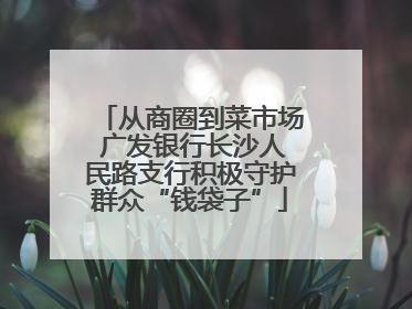 从商圈到菜市场 广发银行长沙人民路支行积极守护群众“钱袋子”