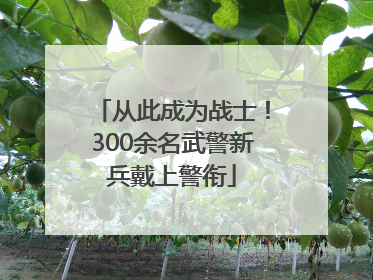 从此成为战士！300余名武警新兵戴上警衔