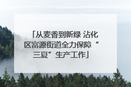从麦香到新绿 沾化区富源街道全力保障“三夏”生产工作