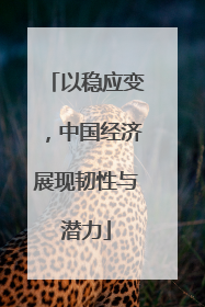 以稳应变，中国经济展现韧性与潜力