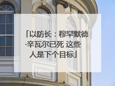 以防长：穆罕默德·辛瓦尔已死 这些人是下个目标