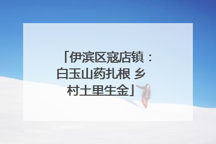 伊滨区寇店镇：白玉山药扎根 乡村土里生金