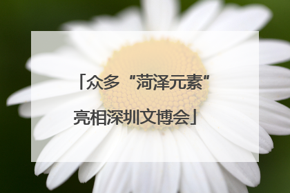 众多“菏泽元素”亮相深圳文博会