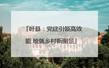 叶县：党建引领高效能 绘就乡村新图景