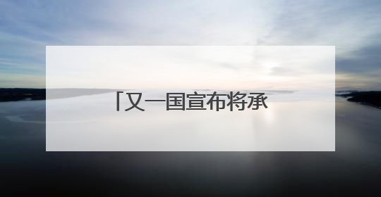 又一国宣布将承认巴勒斯坦国