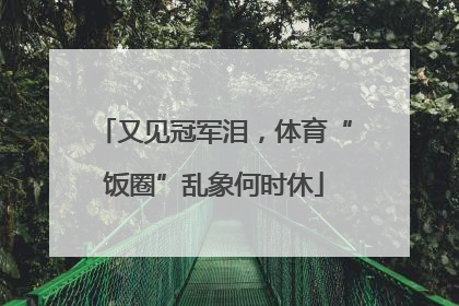 又见冠军泪，体育“饭圈”乱象何时休