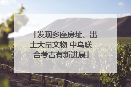 发现多座房址、出土大量文物 中乌联合考古有新进展