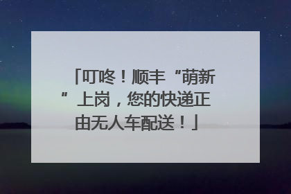 叮咚！顺丰“萌新”上岗，您的快递正由无人车配送！