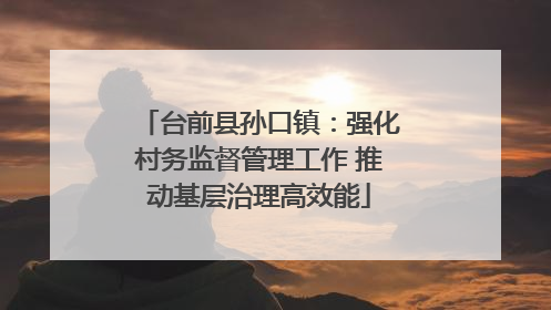 台前县孙口镇：强化村务监督管理工作 推动基层治理高效能