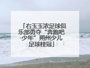 右玉玉浓足球俱乐部勇夺“奔跑吧·少年”朔州少儿足球桂冠