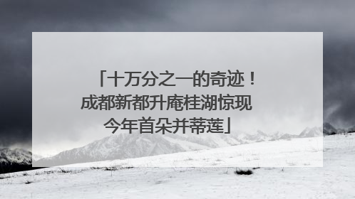 十万分之一的奇迹！成都新都升庵桂湖惊现今年首朵并蒂莲