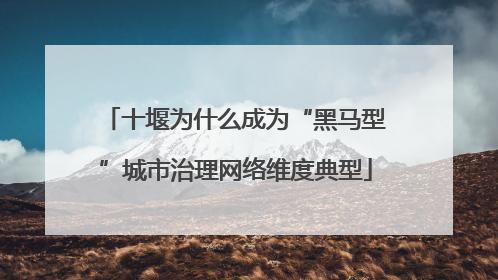 十堰为什么成为“黑马型”城市治理网络维度典型