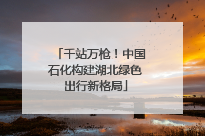 千站万枪！中国石化构建湖北绿色出行新格局