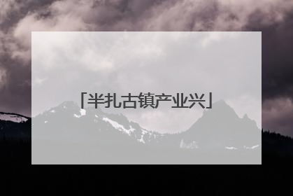 半扎古镇产业兴