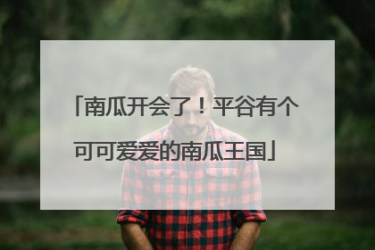 南瓜开会了！平谷有个可可爱爱的南瓜王国