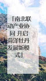 南北联动产业协同 开启菏泽牡丹发展新模式