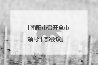 南阳市召开全市领导干部会议