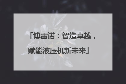 博雷诺：智造卓越，赋能液压机新未来