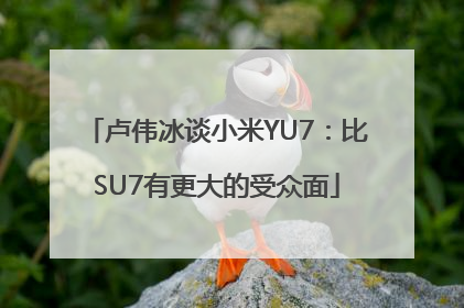 卢伟冰谈小米YU7：比SU7有更大的受众面