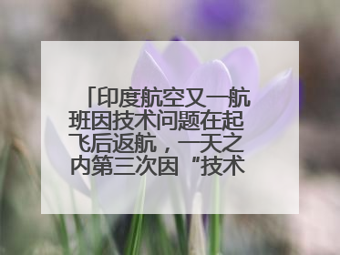 印度航空又一航班因技术问题在起飞后返航，一天之内第三次因“技术问题”返航