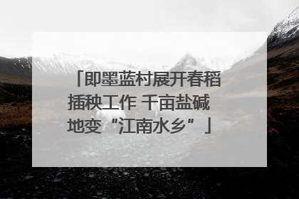 即墨蓝村展开春稻插秧工作 千亩盐碱地变“江南水乡”