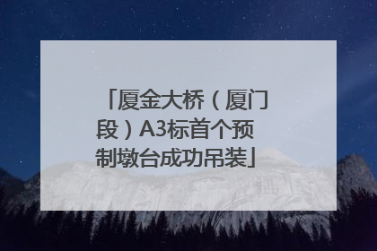厦金大桥（厦门段）A3标首个预制墩台成功吊装