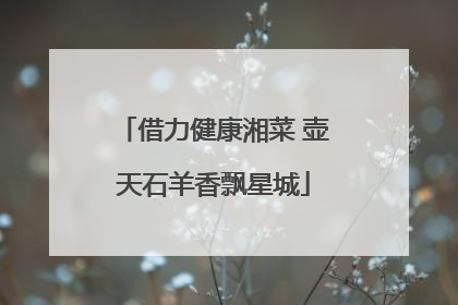 借力健康湘菜 壶天石羊香飘星城