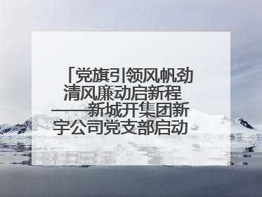 党旗引领风帆劲 清风廉动启新程——新城开集团新宇公司党支部启动“清风廉动党旗红”系列活动