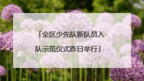 全区少先队新队员入队示范仪式昨日举行