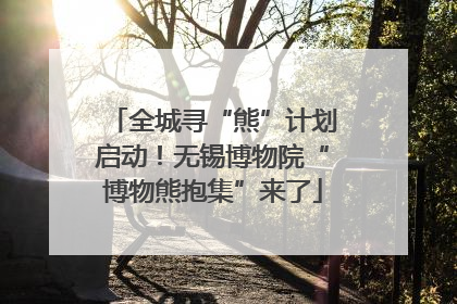 全城寻“熊”计划启动！无锡博物院“博物熊抱集”来了