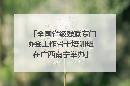 全国省级残联专门协会工作骨干培训班在广西南宁举办