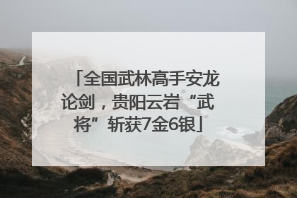 全国武林高手安龙论剑，贵阳云岩“武将”斩获7金6银